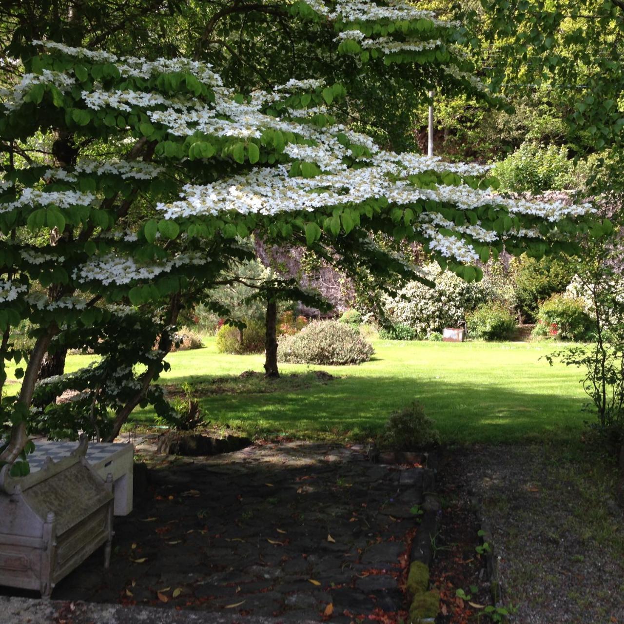 Borthwnog Hall Dolgellau Extérieur photo